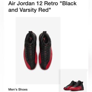 Brand new Jordan retro 12 - flu games